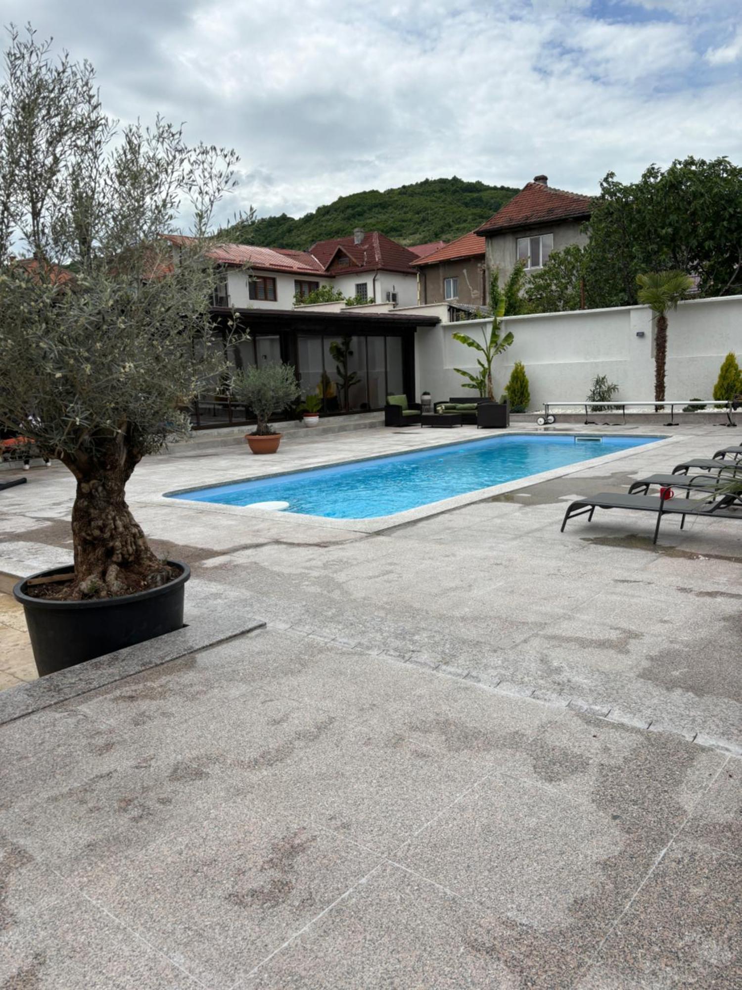 Kaleh Boutique Villa Orşova 외부 사진